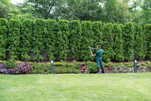 Best Lawn Maintenance Plans  in Fort Mitchell, KY