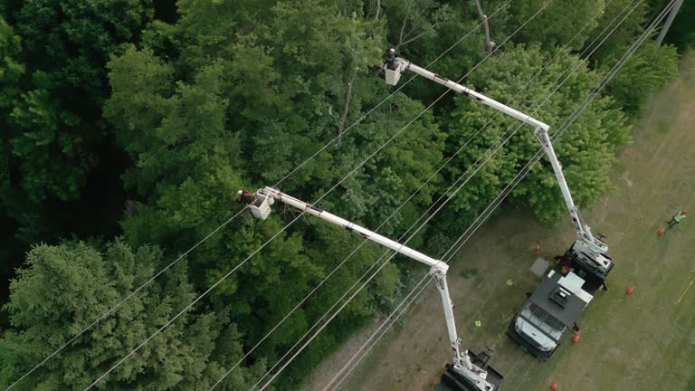 Best Storm Damage Tree Cleanup  in Fort Mitchell, KY