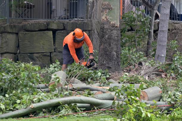 Best Utility Line Clearance  in Fort Mitchell, KY